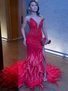 Red Feathered Embellished Evening Gown